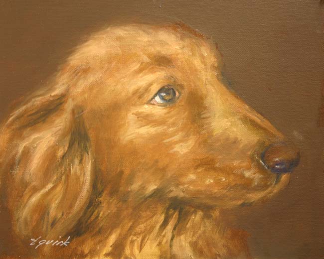 pet portrait