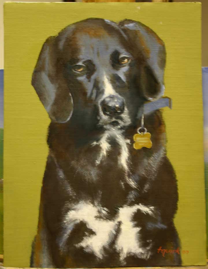 Pet portrait