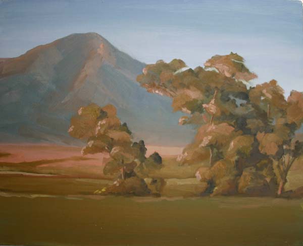 Washington Wind